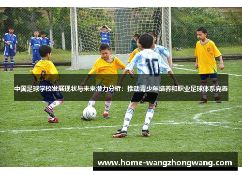 中国足球学校发展现状与未来潜力分析：推动青少年培养和职业足球体系完善