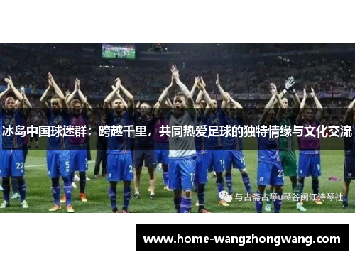 冰岛中国球迷群：跨越千里，共同热爱足球的独特情缘与文化交流