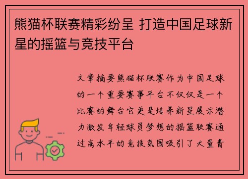 熊猫杯联赛精彩纷呈 打造中国足球新星的摇篮与竞技平台