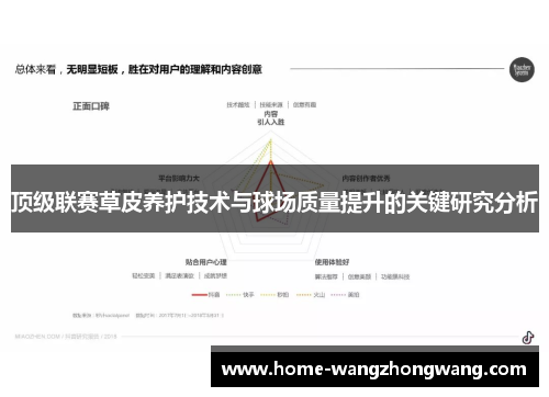 顶级联赛草皮养护技术与球场质量提升的关键研究分析